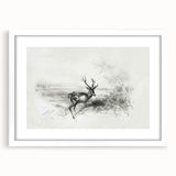 Framed landscape artwork with a white mat, showcasing a serene natural scene. The design features soft colors and intricate details, perfect for home decor enhancement.