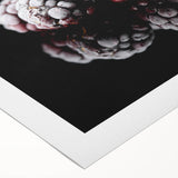 Frozen Blackberry Art – Elegant Food Photography Kitchen Print