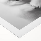 Smiling Polar Dog Bathroom Wall Art - Minimalist Black and White Decor