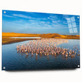 Acrylic print of a Namibian landscape in earth tones, ideal for dining room decor.