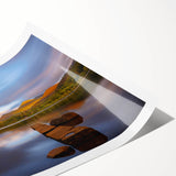 Extra large wall art featuring line art flowers in muted earth tones, printed on rolled canvas.