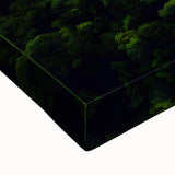 Large art of a black and white Brazilian landscape on stretched canvas, suitable for bedroom wall decor.