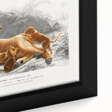 Romanticism Art: Lioness with Cubs by D’Orbigny - Wildlife Canvas