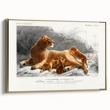 Romanticism Art: Lioness with Cubs by D’Orbigny - Wildlife Canvas