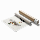 Romanticism Art: Ornithological Birds by D’Orbigny - Wildlife Canvas Print