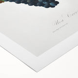 Romanticism Art: Grape Vine by Gallesio - Botanical Canvas Print