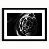 Black & White Rose Wall Art - Modern Monochrome Living Room Décor