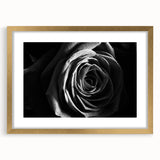 Black & White Rose Wall Art - Modern Monochrome Living Room Décor
