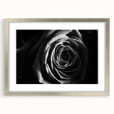 Black & White Rose Wall Art - Modern Monochrome Living Room Décor