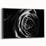 Black & White Rose Wall Art - Modern Monochrome Living Room Décor