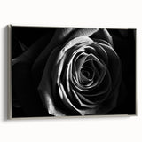 Black & White Rose Wall Art - Modern Monochrome Living Room Décor