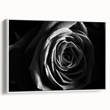 Black & White Rose Wall Art - Modern Monochrome Living Room Décor