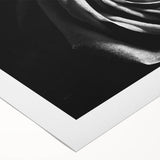 Black & White Rose Wall Art - Modern Monochrome Living Room Décor