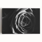 Black & White Rose Wall Art - Modern Monochrome Living Room Décor