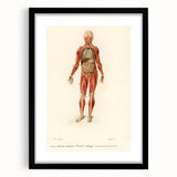 Romanticism Art: Human Anatomy by D’Orbigny - Scientific Canvas Print