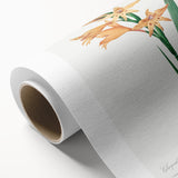 Neoclassical Art Print of Gladiolus by Redouté - Classical Style Decor