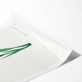 Neoclassical Art Print of Gladiolus by Redouté - Classical Style Decor