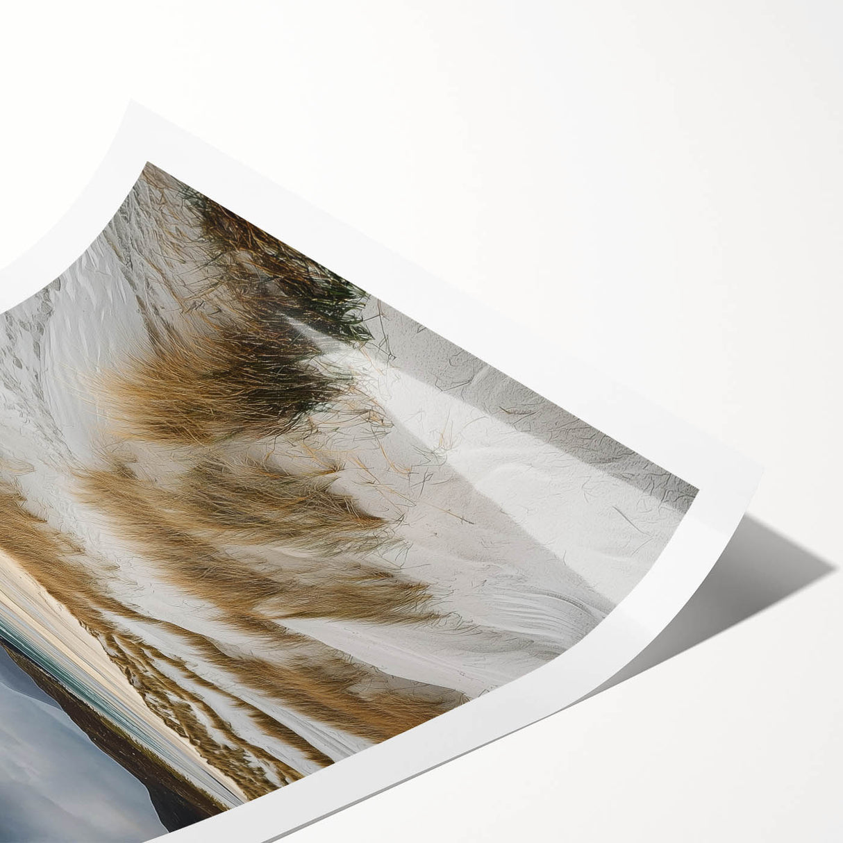 Vibrant rolled print showcasing serene sand dunes landscape, featuring warm tones of beige and soft blue skies, elegantly packaged in a protective cardboard tube.