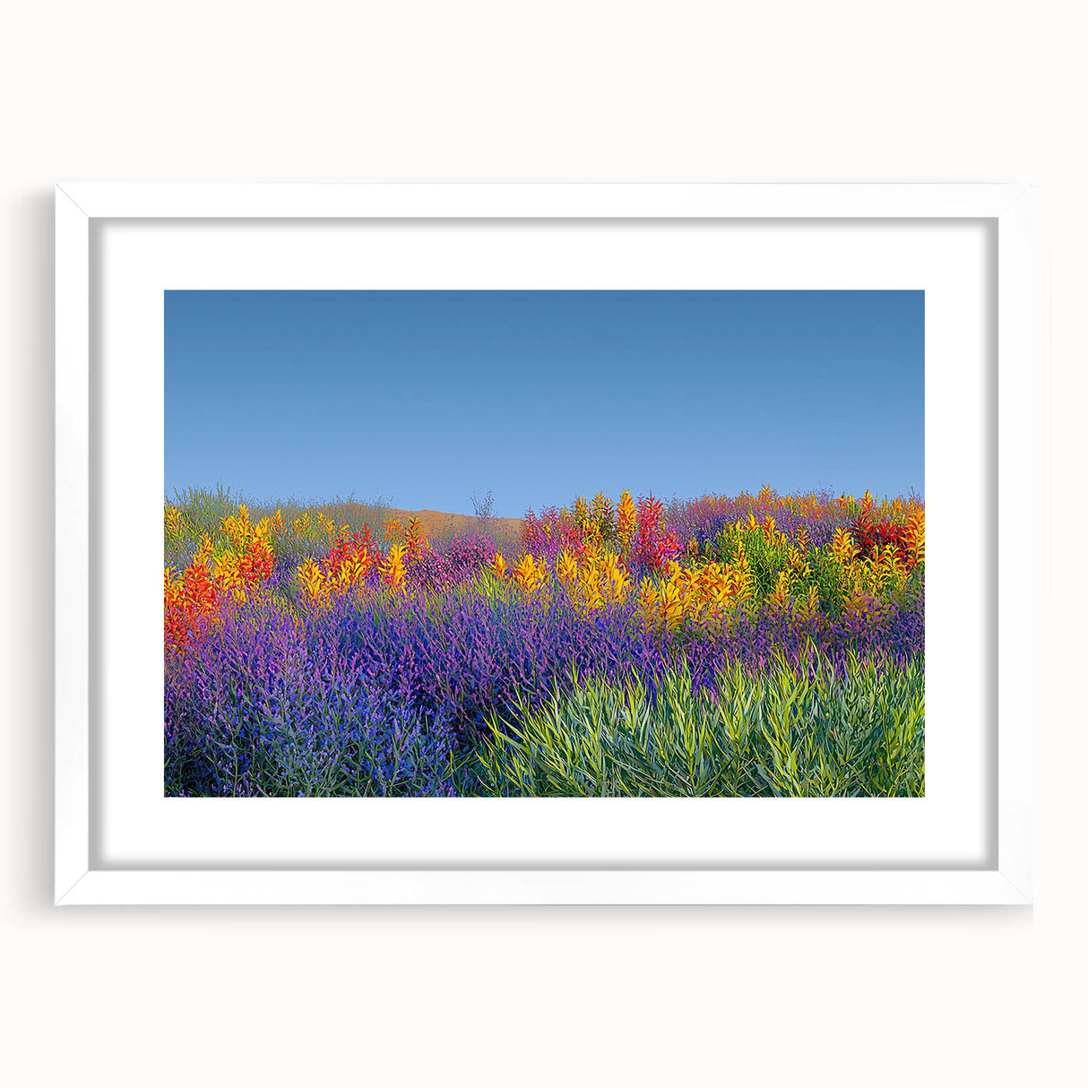 Framed landscape artwork featuring vibrant fields and a white mat, showcasing a serene outdoor scene ideal for home decor. Perfect for nature enthusiasts.