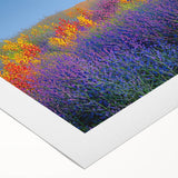 Vibrant rolled canvas artwork depicting a serene landscape of rolling green fields under a clear blue sky, showcasing intricate details and rich colors, ideal for home decor.