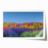 Vibrant rolled canvas print depicting a serene landscape of rolling fields under a clear blue sky, showcasing lush green colors and a calming rural scene, ideal for home decor.