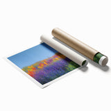 Vibrant rolled canvas print showcasing a serene landscape of rolling fields under a clear blue sky, ideal for home décor or wall art, packaged securely in a cardboard tube.