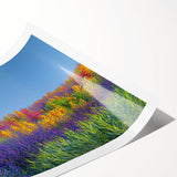 Vibrant rolled canvas print depicting serene fields and landscapes, showcasing rich green hues and gentle rolling hills, ideal for home or office decor.