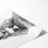 Kangaroo Bathroom Wall Art - Minimalist Black and White Decor