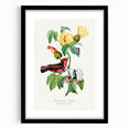 Romantic Art Prints: Vermilion Flycatcher and Botanical Study