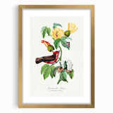 Romantic Art Prints: Vermilion Flycatcher and Botanical Study