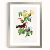 Romantic Art Prints: Vermilion Flycatcher and Botanical Study