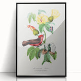 Romantic Art Prints: Vermilion Flycatcher and Botanical Study