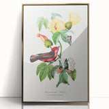 Romantic Art Prints: Vermilion Flycatcher and Botanical Study