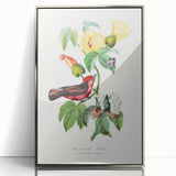 Romantic Art Prints: Vermilion Flycatcher and Botanical Study