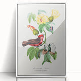 Romantic Art Prints: Vermilion Flycatcher and Botanical Study