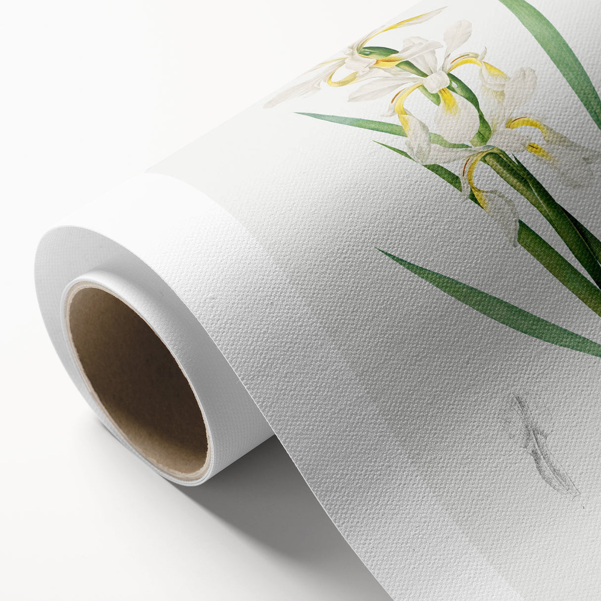 Neoclassical Art Print of Gold-banded Iris by Redouté - Botanical Decor