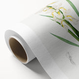 Neoclassical Art Print of Gold-banded Iris by Redouté - Botanical Decor