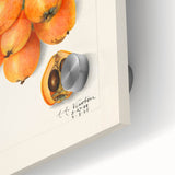 Large abstract wall art featuring assorted fruits in vibrant colors on acrylic glass, ideal for dining room decor.