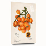 Large abstract wall art featuring vibrant fruit designs on acrylic glass, ideal for bedroom or dining room decor.