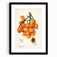 Extra large framed abstract art print featuring colorful, textured fruits, ideal for living room decor.