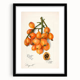 Extra large framed abstract art print featuring colorful, textured fruits, ideal for living room decor.