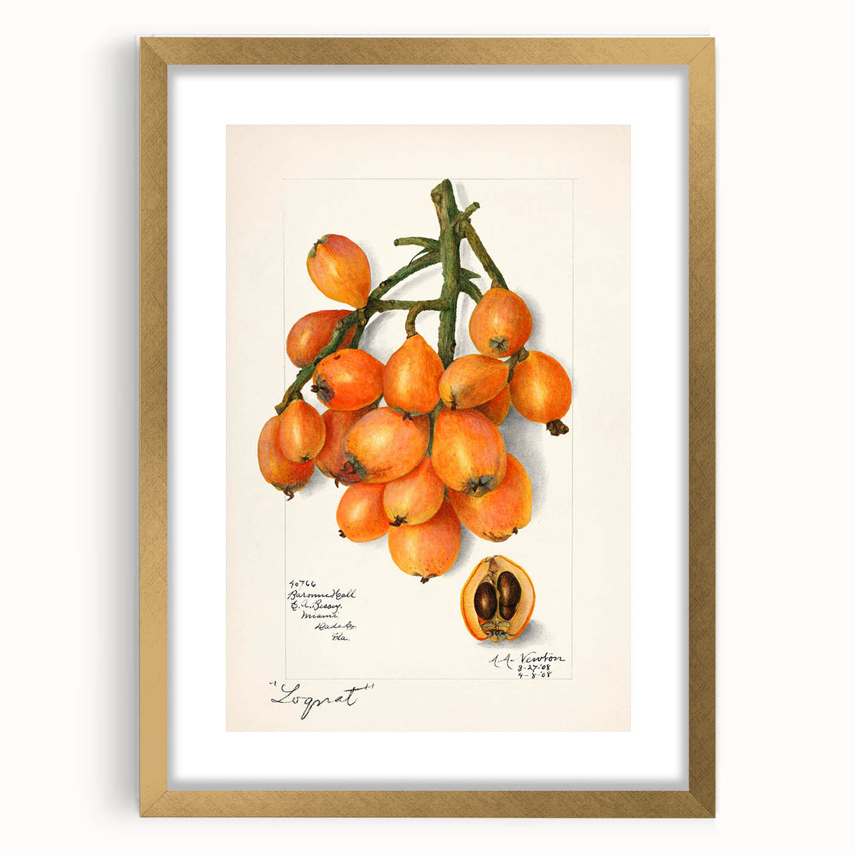 Extra large abstract art print featuring textured fruit designs in vibrant colors on a gold-framed canvas.