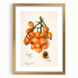 Extra large abstract art print featuring textured fruit designs in vibrant colors on a gold-framed canvas.