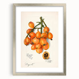 Textured art print featuring an abstract pattern of vibrant fruit motifs in a silver frame with mat.