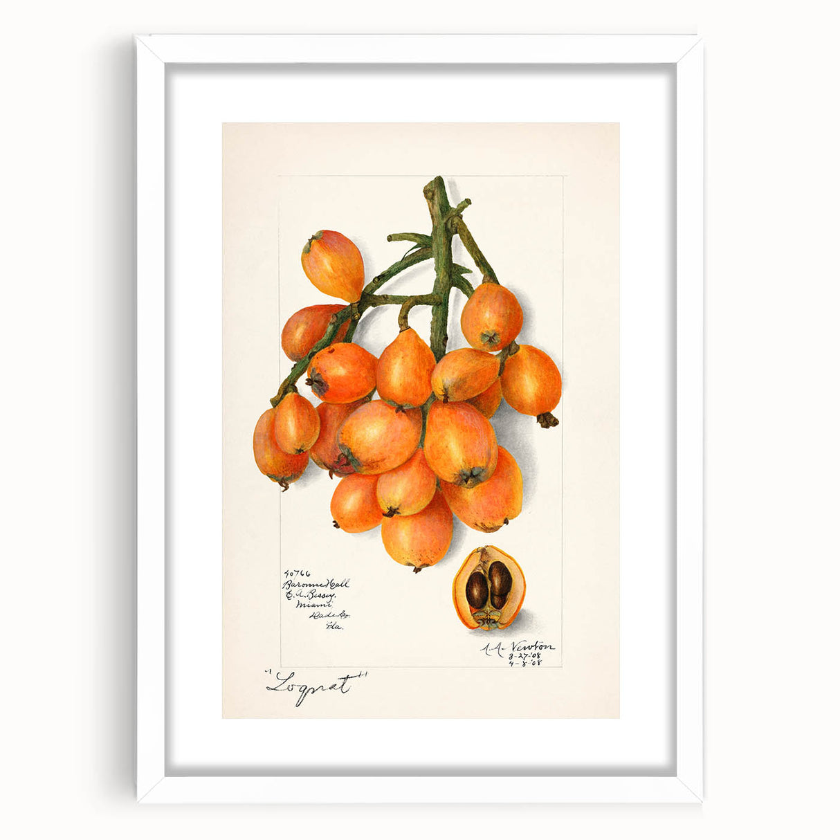 Abstract art print featuring assorted fruits in vibrant colors on a white framed canvas, suitable for dining room decor.