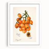 Abstract art print featuring assorted fruits in vibrant colors on a white framed canvas, suitable for dining room decor.