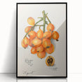 Large abstract wall art featuring assorted fruits in bold colors on a black acrylic framed print.