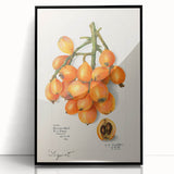 Large abstract wall art featuring assorted fruits in bold colors on a black acrylic framed print.