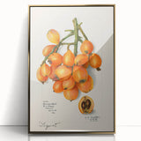 Mid-century modernist large art print of colorful fruits on gold-framed acrylic, ideal for nursery wall art.