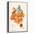Black and white framed canvas featuring a vintage poster art style landscape of assorted fruits, ideal for bedroom wall art.